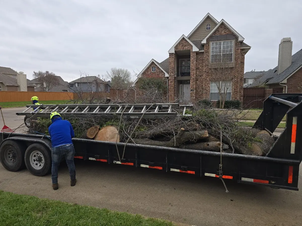 Expert Lot Clearing with proper safety equipment in Spring Valley